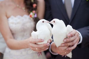 Bride and Groom Doves
